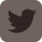 twitter icon